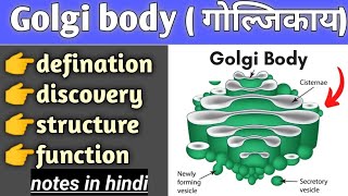 golgi body structure and function in hindi cell biology bsc biology [upl. by Enirehtac]