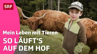 Fabio amp der Bauernhof  Mein Leben mit Tieren  Kindervideos  SRF Kids [upl. by Assedo84]