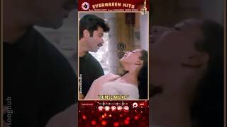 Movie PARINDA 1989  Singers ASHA BHOSLE SURESH WADKAR  Stars MADHURI DIXIT ANIL KAPOOR [upl. by Nedap]