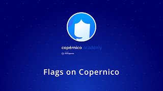 Flags on Copernico [upl. by Nyre]