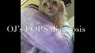 Feline Orofacial Pain Syndrome FOPS [upl. by Welbie]