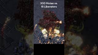 300 Mutas vs 15 Liberators What will happen starcraft starcraft2 rts [upl. by Suirred]