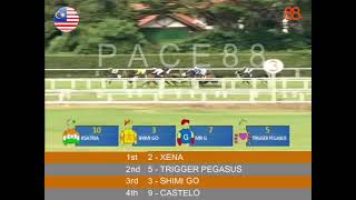 20241109 Race 5 Malaysia Penang Horse Racing Highlights  Pace88 Horse [upl. by Erdreid]