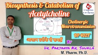 Biosynthesis and Catabolism of Acetylcholine  Cholinergic Transmission  BP 402T [upl. by Eilis]