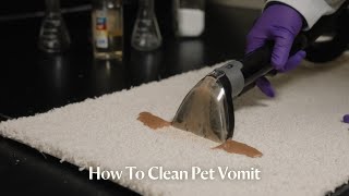 How to Clean Up Pet Vomit  Pet Proven™ [upl. by Annaeerb91]