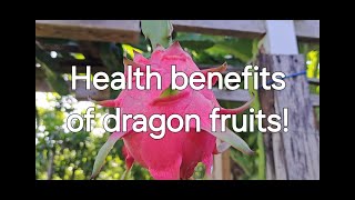 Dragon fruit and your health healthiswealth floridaliving backyardfruits [upl. by Airamana]