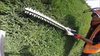 TRIMMING A CONIFER HEDGE ON A COMMERCIAL SITE [upl. by Paresh]