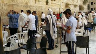 Davening at the Western Wall [upl. by Nauhs563]