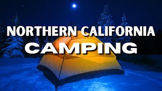 The 12 BEST Camping Sites In Northern California [upl. by Raycher]