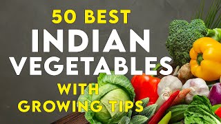 50 best vegetable plants for garden in india  Easy growing vegetables  vegetable names [upl. by Amory185]