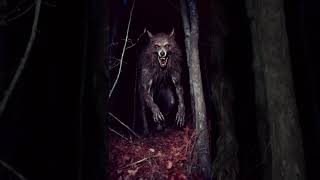 Scary Dogman Encounter in 1887 australia dogman creepy unitedstates werewolf cryptids [upl. by Ominoreg]