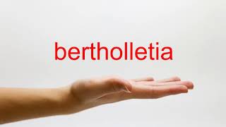 How to Pronounce bertholletia  American English [upl. by Rustice667]