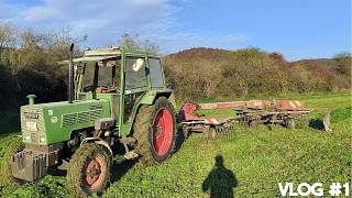 Zwischenfrucht mähen  Farmer 106 LS an der Leistungsgrenze  FarmVlog 1 [upl. by Aima710]