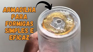 COMO ACABAR COM FORMIGAS DENTRO DE CASAARMADILHA PARA FORMIGAS [upl. by Hcir163]