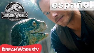 COMPILACIÓN La increíble Relación entre Owen y Blue  JURASSIC WORLD EL REINO CAÍDO [upl. by Sirrad]