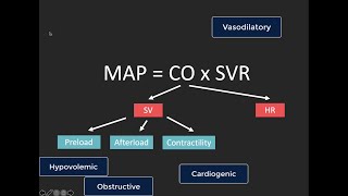 POCUS estimation of cardiac output [upl. by Zaneta]