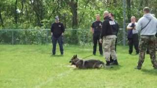 2007 International Police K9 Conference Pittsburgh Pa [upl. by Milone]