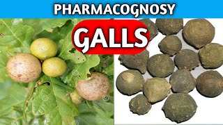 Galls Pharmacognosy  Crude Drug Pharmacognosy  Miscellaneous Crude Drugs [upl. by Oruasi957]