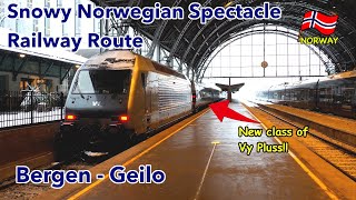 Train Trip by Bergen Express the most fantastic scenery railway Bergen to Geilo Norway [upl. by Llenahs392]