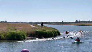 Samuel’s swim at Eton Dorney [upl. by Justinian228]