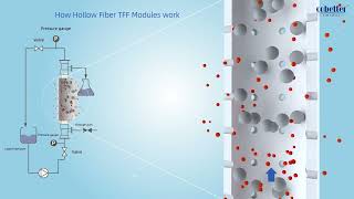 Cobetter Hollow Fiber TFF Modules [upl. by Zarla]