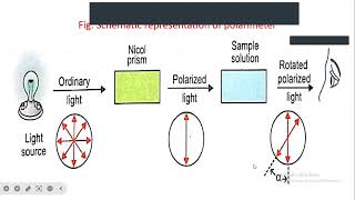 Optical activity and plane polarized lightstereochemistry [upl. by Middendorf237]