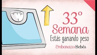 SEMANA 33 de Embarazo  8º Mes  Semana a semana [upl. by Leahkim]