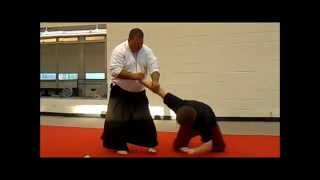 The three pillars of Aiki Ikkyo Nikkyo amp Sankyo from a straight punch [upl. by Essy]