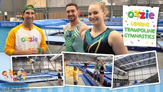 Trampolining For Kids With Ozzie  Educational Video About The Olympic Sport Trampoline Gymnastics [upl. by Elraet]