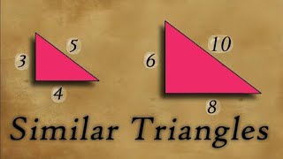 🔴 Similar Triangles Explained  ICSE Class 10 Selina [upl. by Ayerdna65]