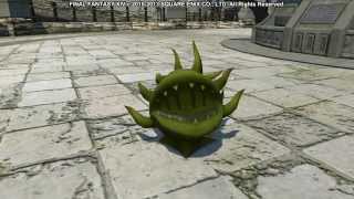 Final Fantasy XIV Minions  Morbol Seedling [upl. by Lipscomb758]