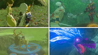 Zelda Breath of the Wild  All 42 Shrine Quests [upl. by Dabbs]