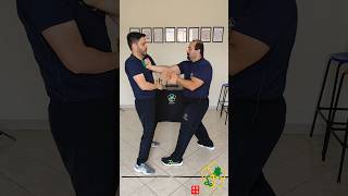 Fragmentos do Ving Tsun Wing Chun  33 vingtsun martialarts wingchun kungfu vingtsunkungfu [upl. by Anana]