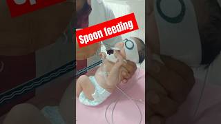 Newborn baby 🍼🍼 spoon feedingkc feeding cutebaby baby bscnursing cute hospital babyspoon [upl. by Atirma385]