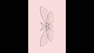 Timelapse Mariposa do Silêncio dos Inocentes arte art artist mariposa moth drawing [upl. by Pickar]