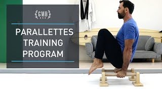 Parallettes Workout Routine amp Training Program [upl. by Arabela]