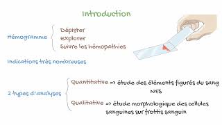 Lhémogramme Décrypté 🩸 [upl. by Hannavas]