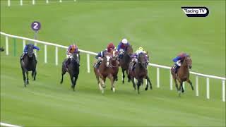 Irish Champion Stakes G1 2024 [upl. by Sone]