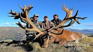 World Class New Zealand Red Stag Hunting With Venator Cardrona Safaris [upl. by Anilac194]