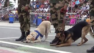 Wagah Attari Border Parade [upl. by Adnana]