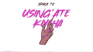 Spack  USINGATE KUCHA Official Music Audio [upl. by Kei]