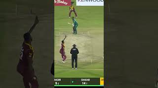 Shadab Khan Shines  Watch His Impressive 28 Runs Knock PAKvWI SportsCentral Shorts PCB MO2K [upl. by Onavlis]