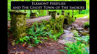 Elkmont Fireflies and the Ghost Town of the Smokies June 2023 [upl. by Ahsirpac]