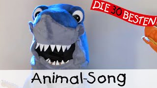 Animal Song  Singen Tanzen und Bewegen  Kinderlieder [upl. by Ahseikan211]