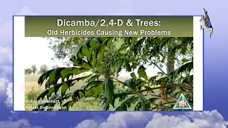 Dicamba amp 2 4D and Trees Old Chemicals Causing New Problems [upl. by Isewk]