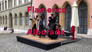 Flamenco AlboradaLiveDanceshowTrailer [upl. by Paddy]