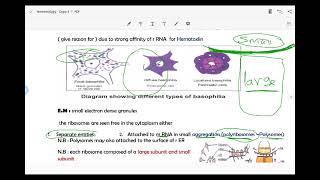 Non membranous organelles  Ribosome  Centriole  cytoskeleton [upl. by Naerol727]