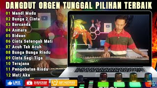 ALBUM DANGDUT ORGEN TUNGGAL TERBARU 2024  FULL ALBUM LAGU NGEBIT ENAK BANGET COCOK BUAT TEMAN KERJA [upl. by Vallonia]