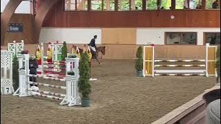 Carracas  Show Jumper  Carridam  2018  Gelding [upl. by Feigin535]