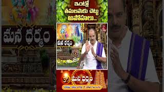 ఇంట్లో తమలపాకు చెట్టు అపోహలుMana DharmamETV Life Spiritual [upl. by Enohpets]